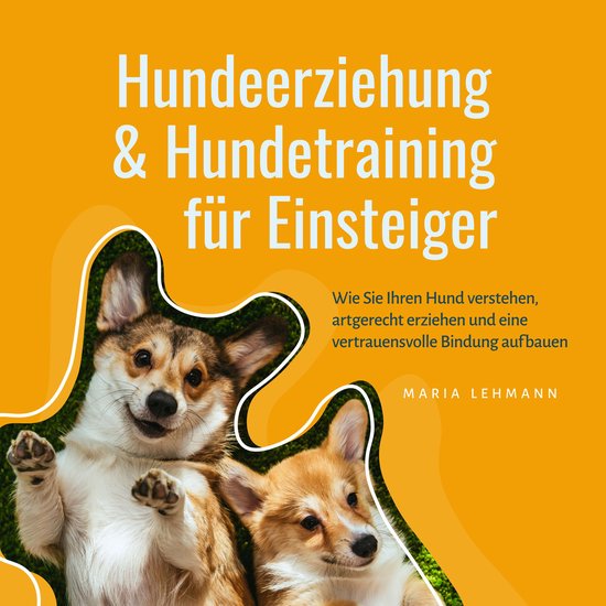 Hundeerziehung & Hundetraining für Einsteiger: Wie Sie Ihre ... - cover