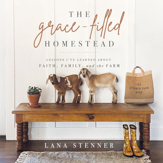 The Grace-Filled Homestead - cover