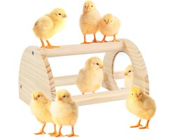 Kippen Zitstok Van Grenenhout Met Spiegel Stevige Klimstok Voor Kuikens En Grote Vogels Klein