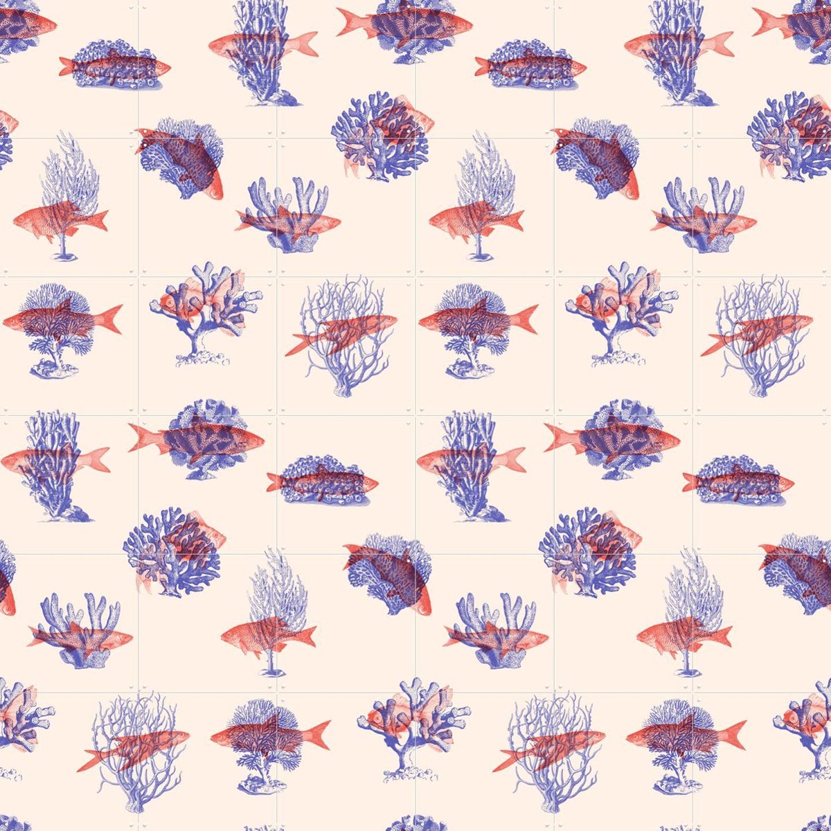 IXXI Where they belong Fish & Corals, Florent Bodart - 120 x 120 cm - Gratis ophangtool - Grote wanddecoratie en posters - Grafisch Ontwerp