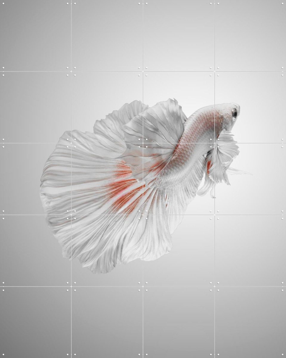 IXXI White Betta, Andi Halil & Various - 80 x 100 cm - Gratis ophangtool - Grote wanddecoratie en posters - Digitale Kunst, Fotografie, Slaapkamer