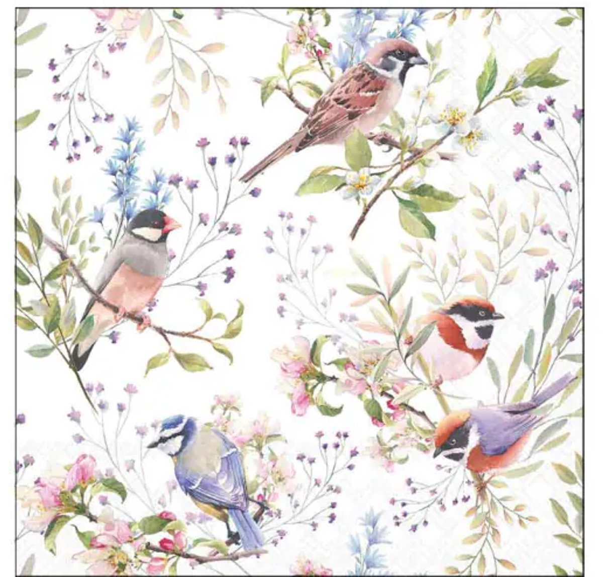 Ambiente - Servetten - Klein - Busy Birds