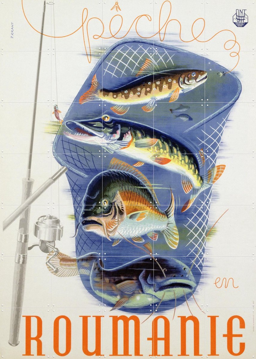 IXXI Fish from Romania, Bridgeman Images - 100 x 140 cm - Gratis ophangtool - Grote wanddecoratie en posters - Vintage, Illustraties, Eetkamer