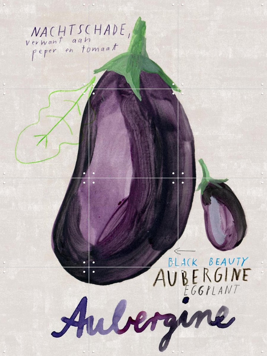 IXXI Aubergine NL, Signorinah - 60 x 80 cm - Gratis ophangtool - Grote wanddecoratie en posters - Illustraties, Speels, Aquarel, Woonkamer, Keuken