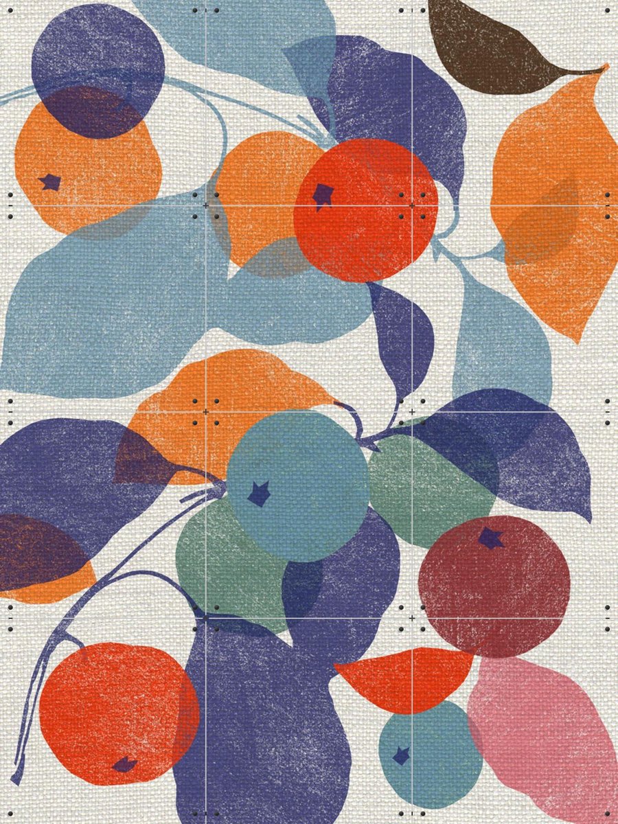 IXXI Printed Apples, Jenny Frean & Bridgeman Images - 60 x 80 cm - Gratis ophangtool - Grote wanddecoratie en posters - Geometrische Kunst, Art Deco