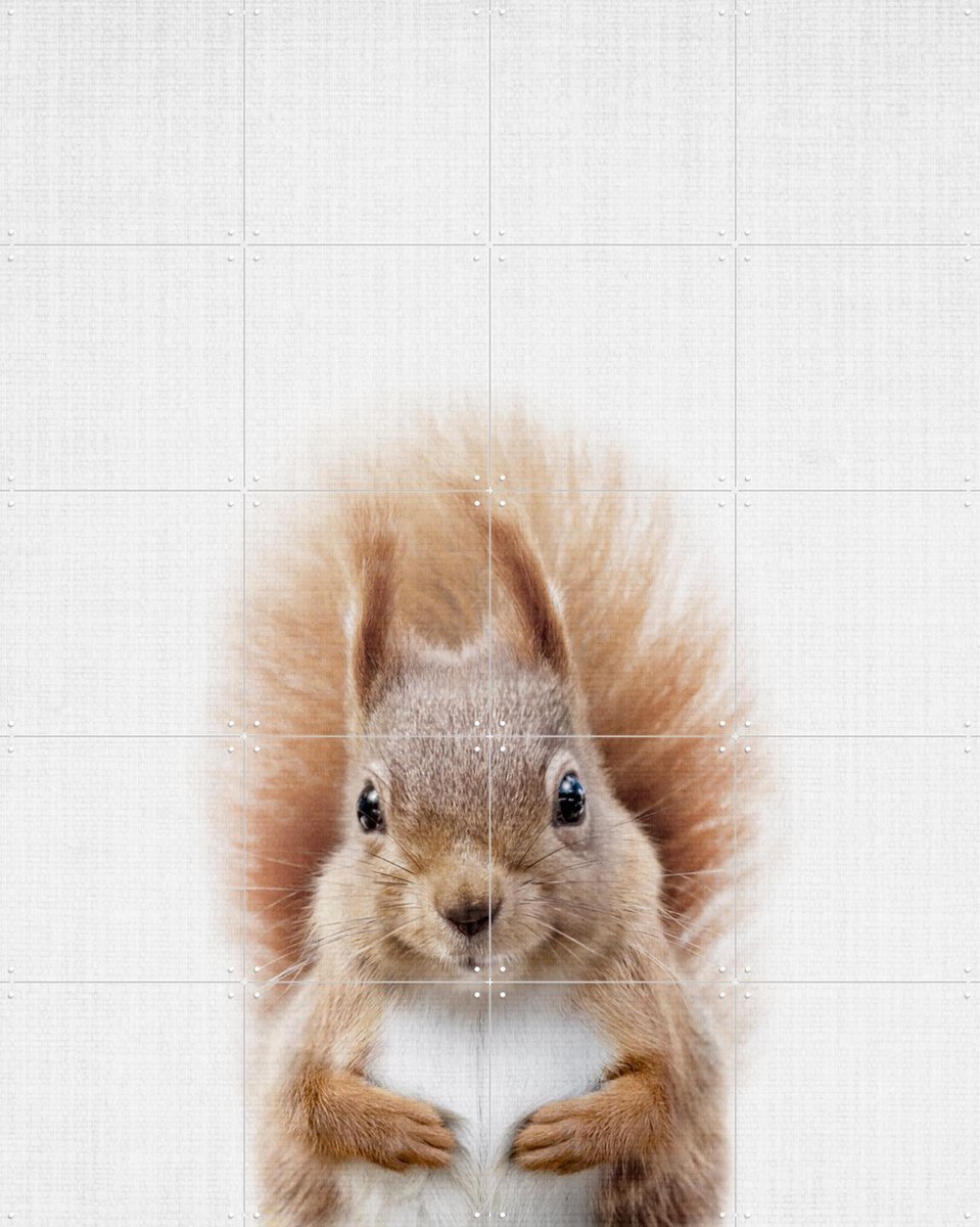 IXXI Squirrel, Lila + Lola - 80 x 100 cm - Gratis ophangtool - Grote wanddecoratie en posters - Fotografie, Realisme, Naturalisme, Kinderkamer