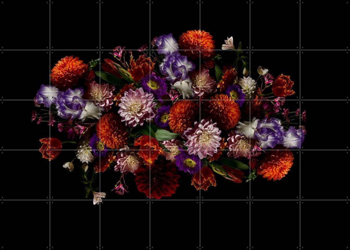 IXXI Flower Explosion, Sander van Laar - 140 x 100 cm - Gratis ophangtool - Grote wanddecoratie en posters - Klassiek, Fotografie, Woonkamer