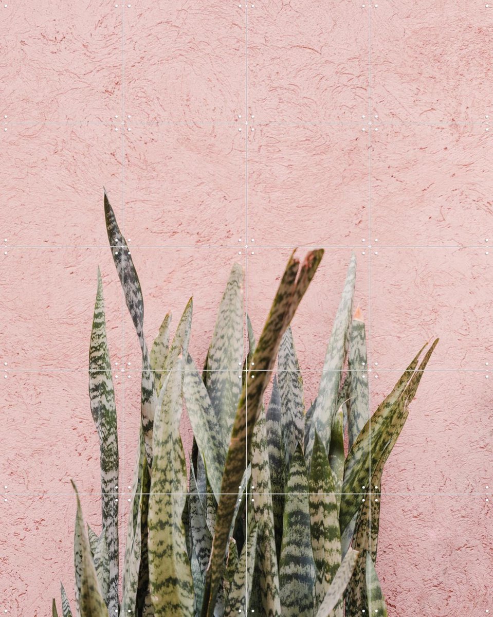 IXXI Botanical Scene In Marrakech, Photolovers - 80 x 100 cm - Gratis ophangtool - Grote wanddecoratie en posters - Illustraties, Fotografie
