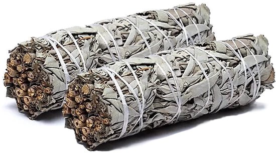 Bâtonnets de sauge Witte 2 pièces
