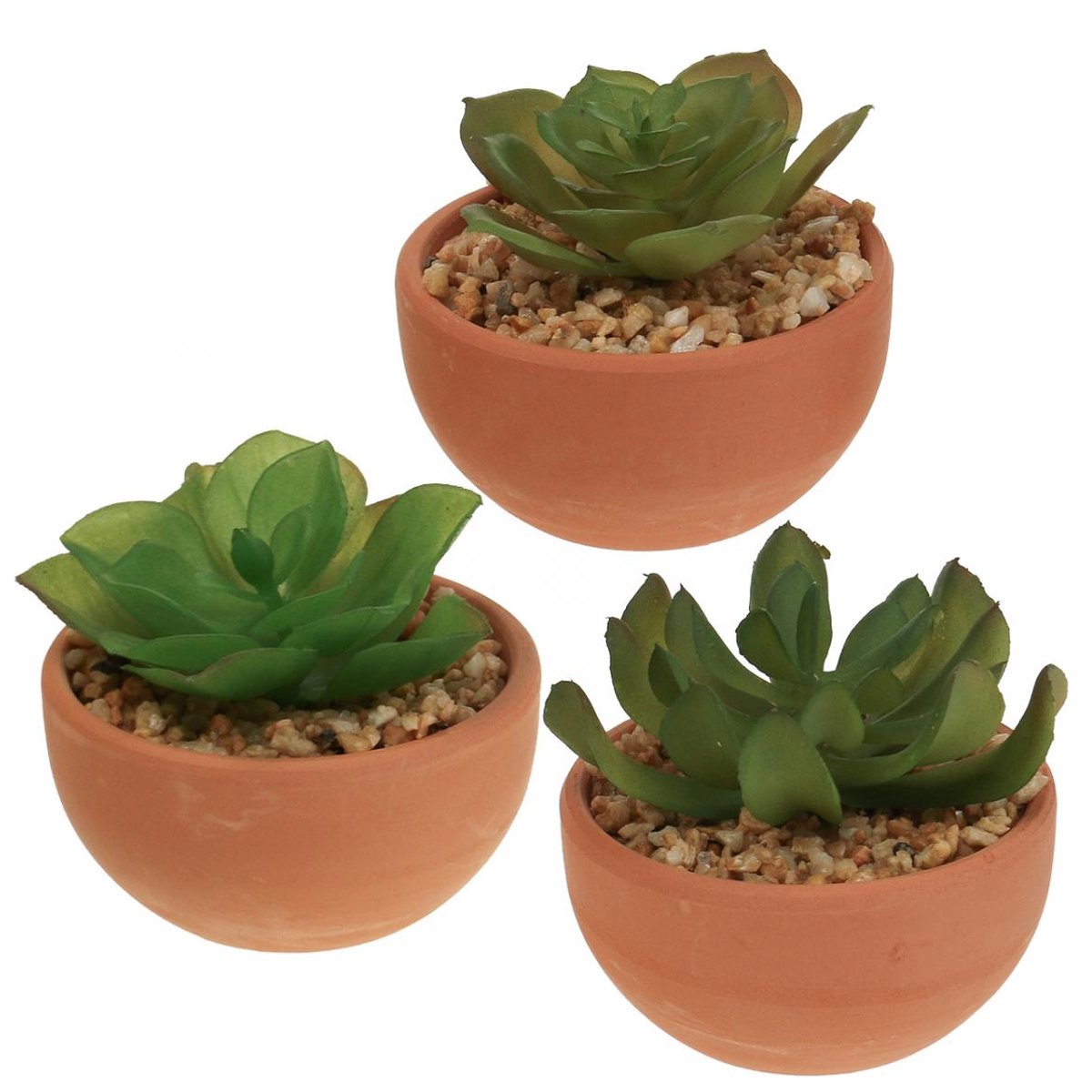 Decoratieve plant Everlands Bloempot Vetplant (9 x 9 x 9 cm)