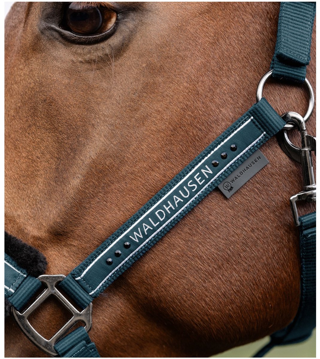 Waldhausen Halster Elegant - Paardenhalster - Petrol Warmbloed