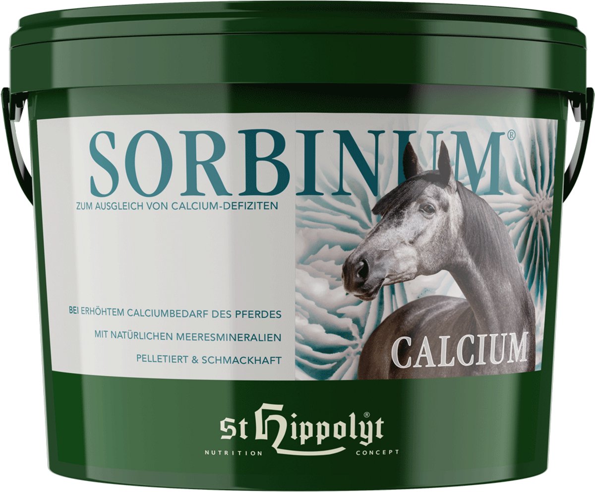 St. Hippolyt Sorbinum Calcium | 10 kg