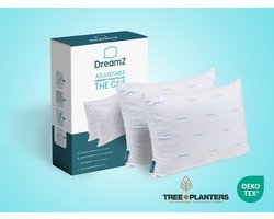 DreamZ® The One - 2 Hoofdkussens - Verstelbaar - Verkoelend - Premium Comfort - 50x70 cm - Voor rug-, zij- en buikslapers