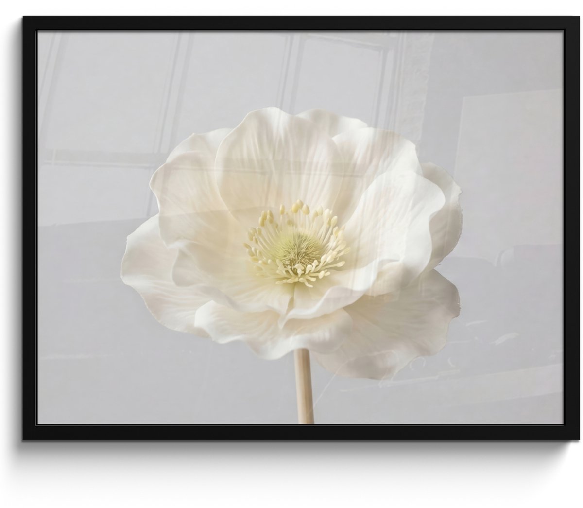 FrameYourWall Poster in lijst - Fotolijst 70x50 cm - Posters - Bloem - Minimalistisch -Wit - Posterlijst zwart - Decoratie - Wanddecoratie woonkamer - Muurdecoratie slaapkamer