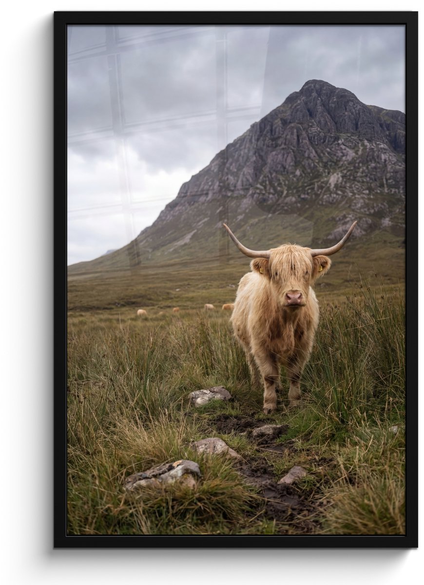 FrameYourWall Poster in lijst - Fotolijst 60x90 cm - Posters - Schotse hooglander - Bergen - Grasveld - Posterlijst zwart - Decoratie - Wanddecoratie woonkamer - Muurdecoratie slaapkamer