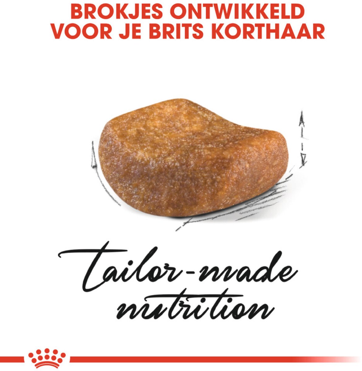 Royal Canin British Shorthair - speciaal voer voor spieren & tandgezondheid thumbnail 2