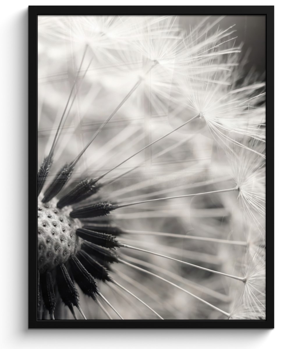 FrameYourWall Poster in lijst - Fotolijst 60x80 cm - Posters - Paardenbloem - Zwart - Wit - Posterlijst zwart - Decoratie - Wanddecoratie woonkamer - Muurdecoratie slaapkamer