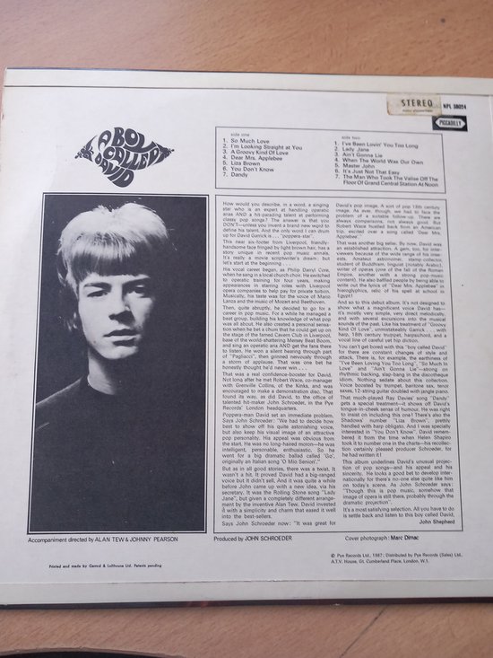 A BOY CALLED DAVID - GARRICK ELPEE