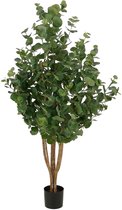 Grote groene kunstplant met ronde bladeren in een zwarte pot.