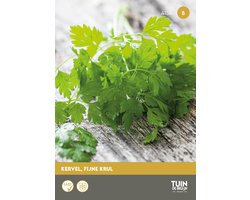 Kervel Fijne Krul Zaden – Anthriscus cerefolium – Kruidenzaden – Keukenkruid voor Moestuin, Kruidentuin & Pot - Tuin de Bruijn® zaden