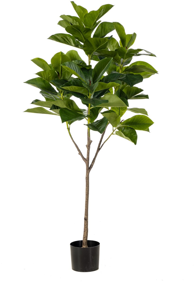 Fleurdirect Kunstplant Ficus Benghalensis Groen - Realistisch & Onderhoudsvrij