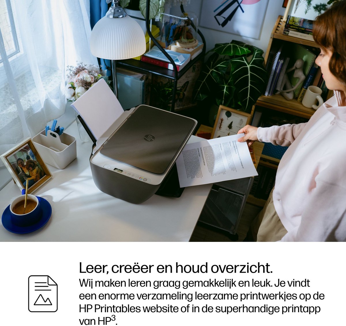HP DeskJet 2910 Draadloos All-in-One Kleur Printer — afbeelding 6