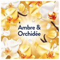 Orchidées blanches et jaunes et gousses de vanille sur fond doré. "Ambre & Orchidée"