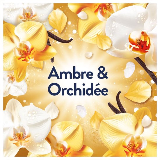 Orchidées blanches et jaunes et gousses de vanille sur fond doré. "Ambre & Orchidée"