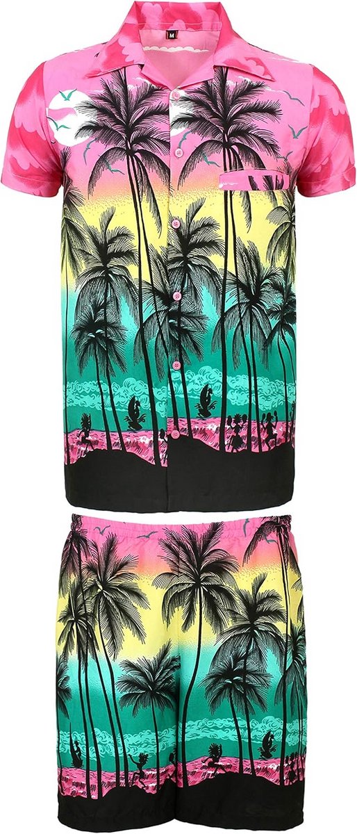 Heren Hawaii Hawaï T-shirt en Korte Broek Set Zomer Strand Outfit
