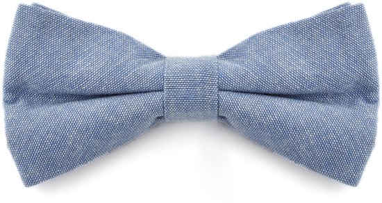 Noeud papillon bleu pâle