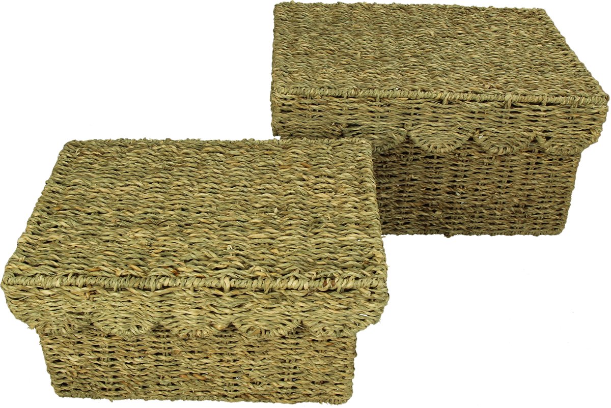 Mandjes set van 2 - Basket with Lid Seagrass Natural 34x25x18cm S/2