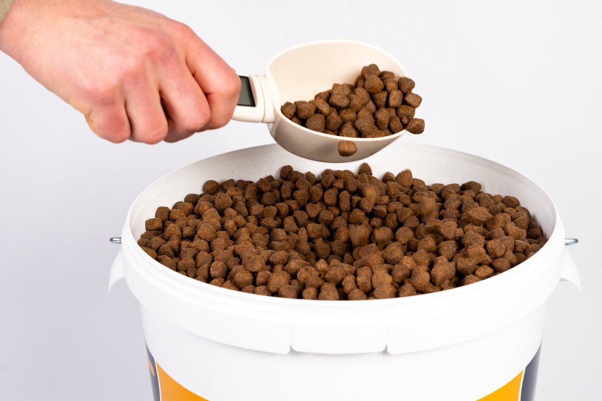 Alldayspetfood Adult hondenbrokken Rijk aan Kip met Rijst 10 Kg | Dagelijks