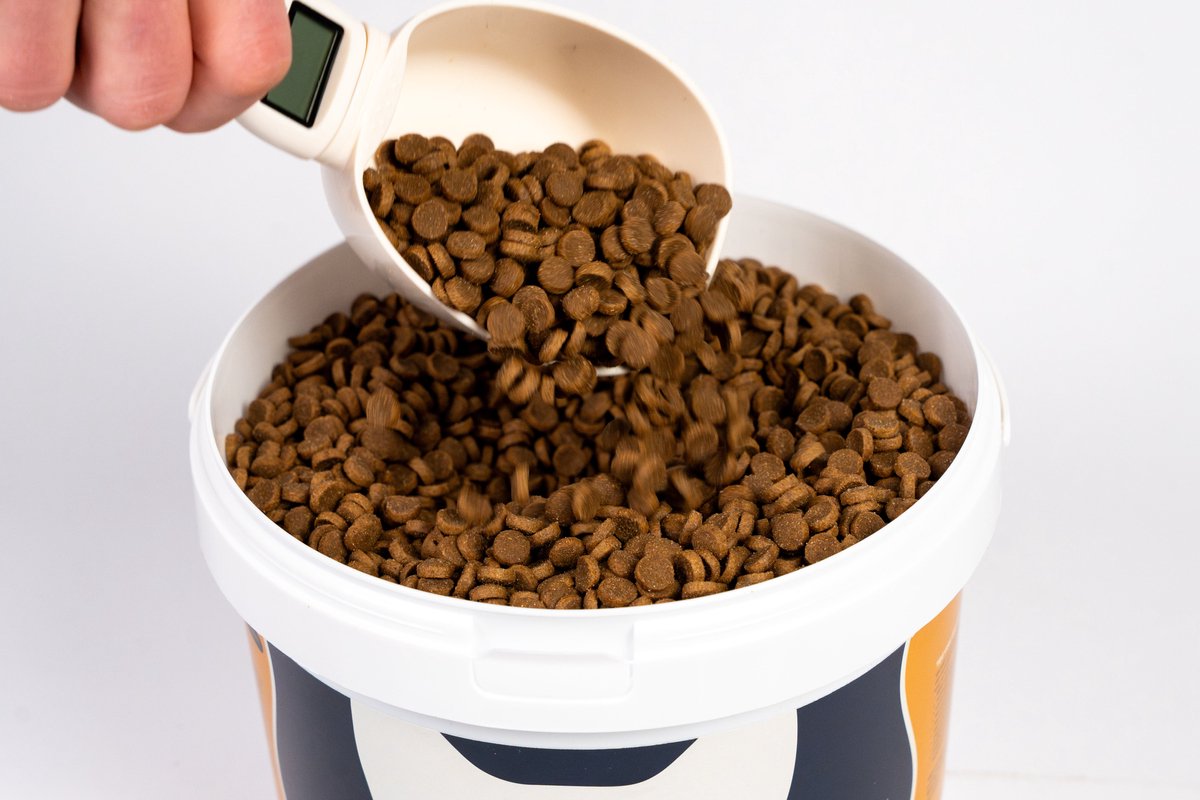 Alldayspetfood Senior kattenbrokken Rijk aan Kip & Rijst 3 Kg | All Inn