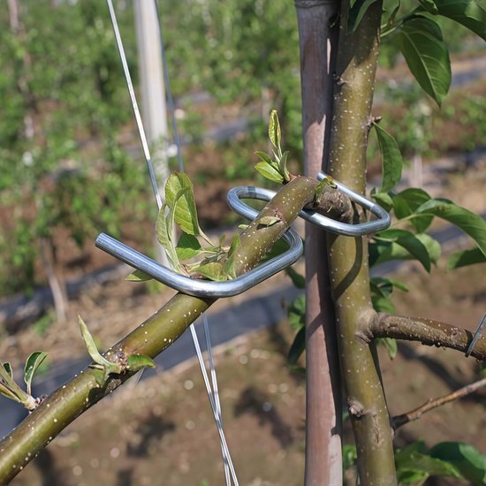 50 stuks - Takspreiders voor fruitbomen, takkenvormers, takkentrekkers, takkentrainers, hulpmiddelen voor het buigen en corrigeren van takken voor scheve bomen, bonsai en rozen. van Merkloos	 — afbeelding 5