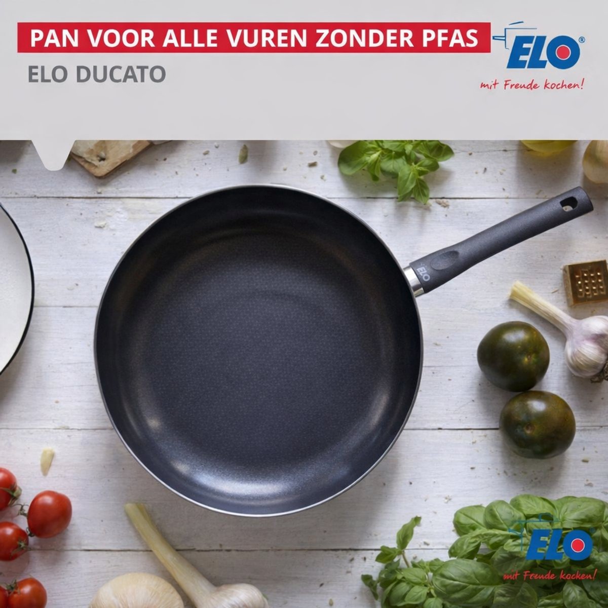 Pan geschikt voor alle warmtebronnen 32 cm zonder PFAS Elo Ducato