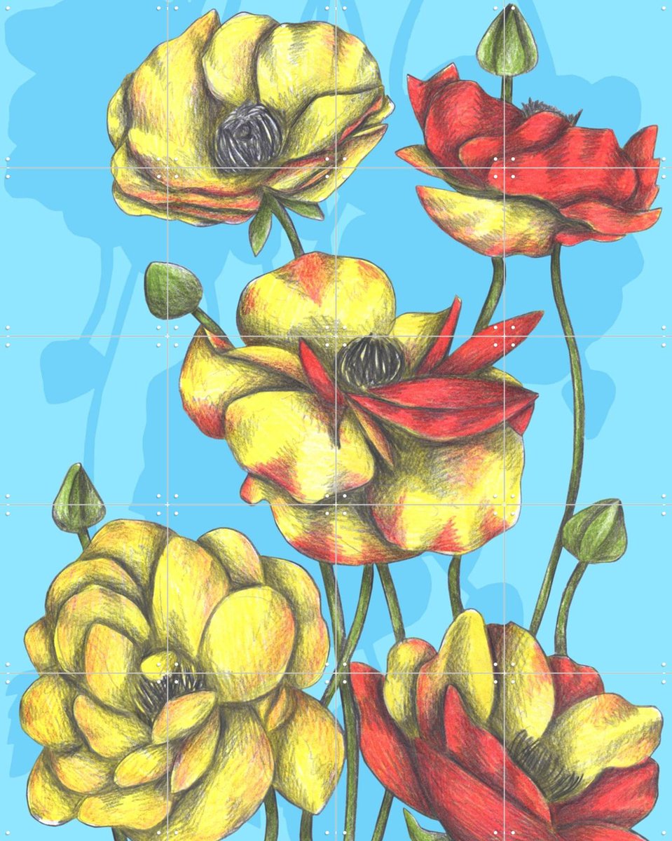 IXXI Buttercups, Cecilia Battaini - 80 x 100 cm - Gratis ophangtool - Grote wanddecoratie en posters - Tekeningen, Illustraties, Slaapkamer, Eetkamer