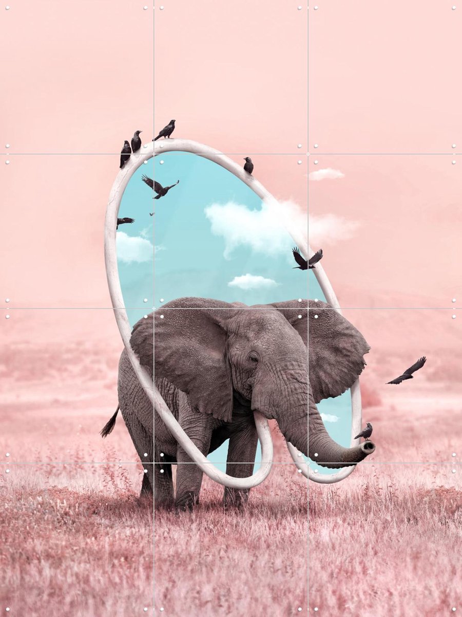 IXXI Dream Carrier, Julien Tabet - 60 x 80 cm - Gratis ophangtool - Grote wanddecoratie en posters - Fotografie, Surrealisme, Digitale Kunst, Speels