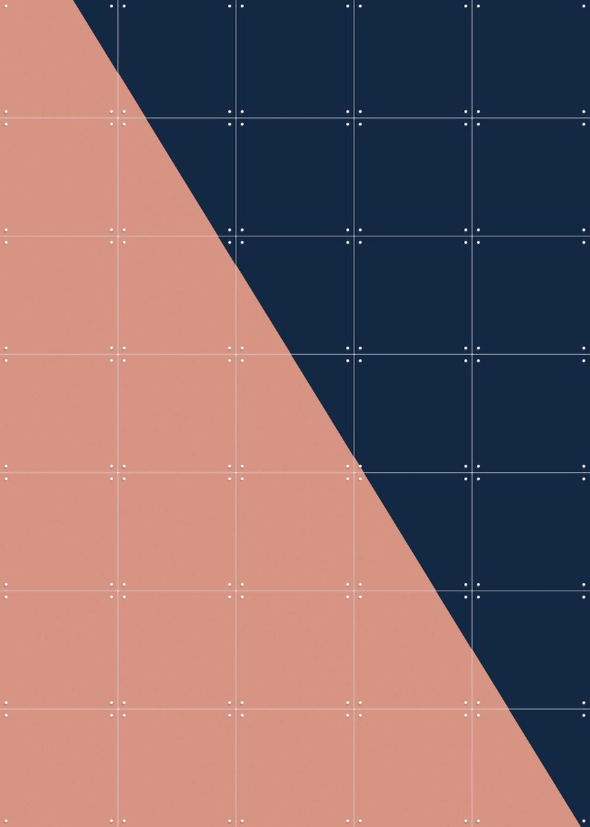 IXXI Color blocking - Pink Blue, Allon Dery - 100 x 140 cm - Gratis ophangtool - Grote wanddecoratie en posters - Grafisch Ontwerp, Geometrische