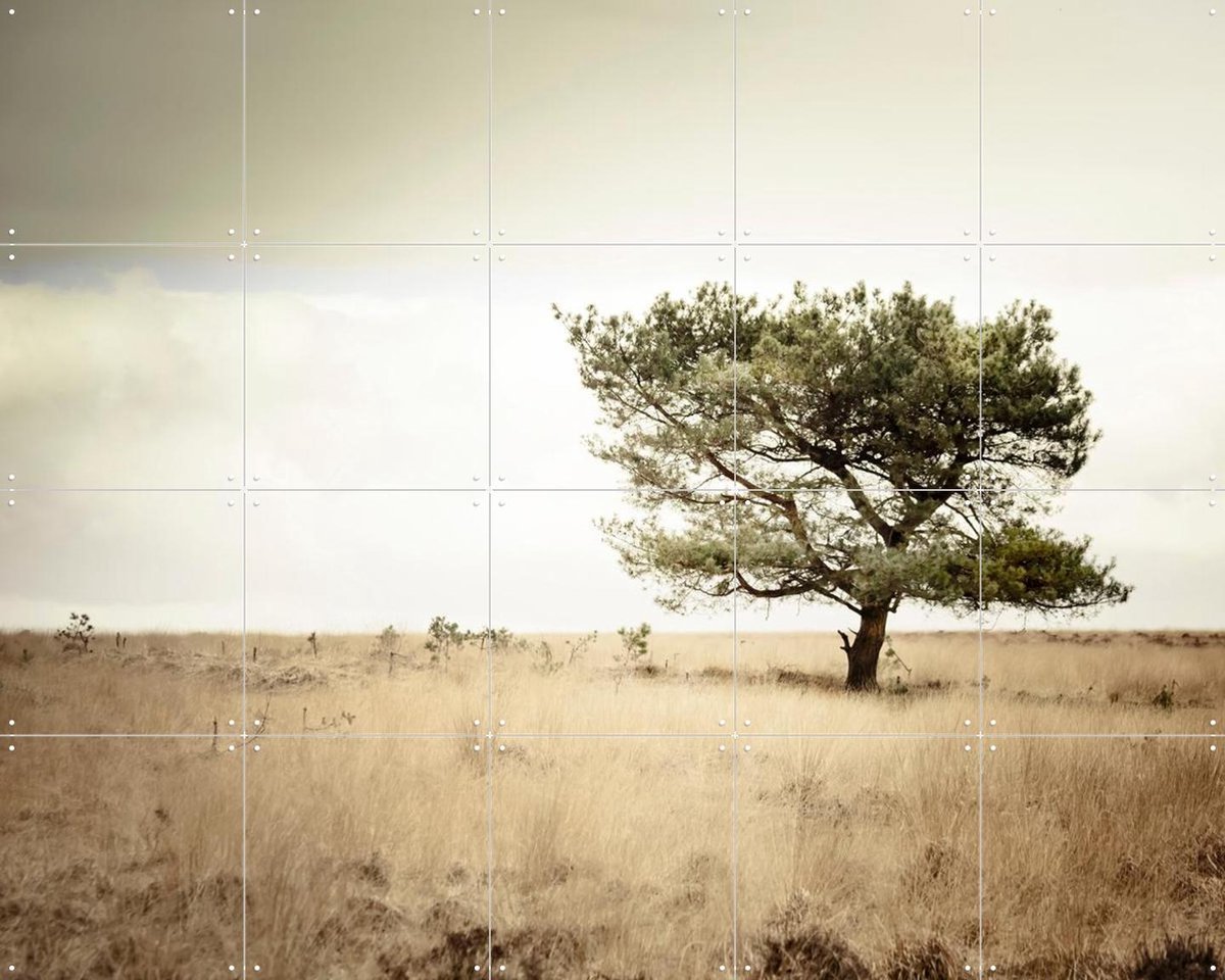 IXXI Solitude, Claire Droppert - 100 x 80 cm - Gratis ophangtool - Grote wanddecoratie en posters - Naturalisme, Realisme, Minimalisme, Fotografie