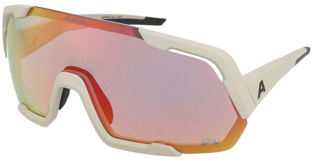 Zonnebrillen Alpina Rocket QV Cool-Grey Matt
