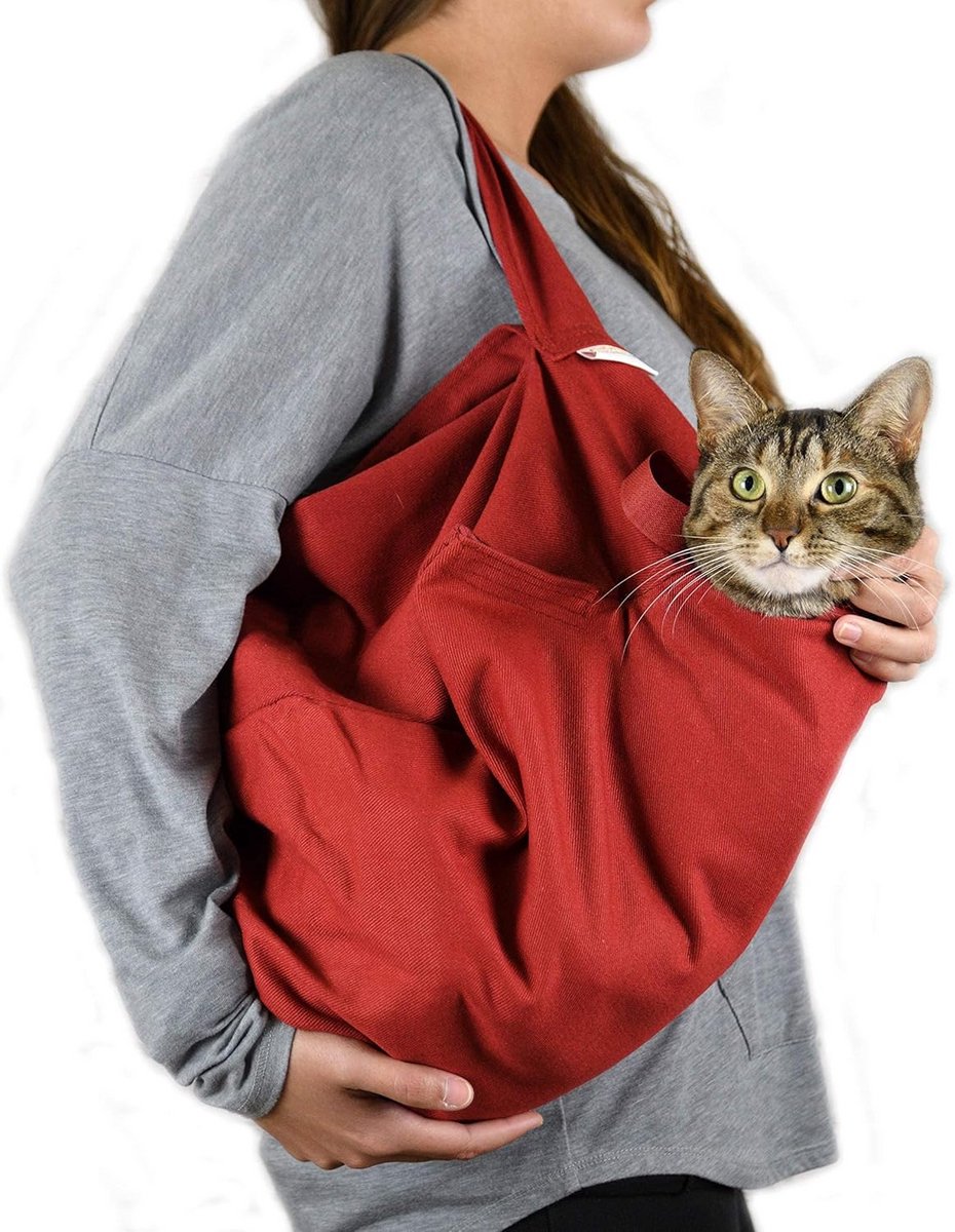 Draagzak Kat - Reismand Zacht - Huisdier Vervoer - E-Z Rits Toegang - 4572 x 254 x 254 cm - Blauw