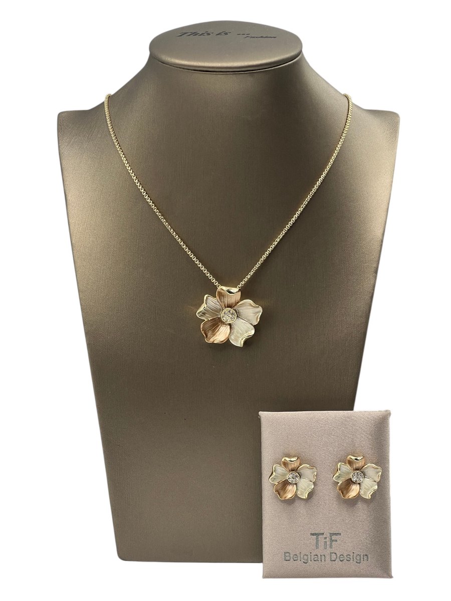 TIF - Sieraden - Sieradenset dames - Halsketting - Oorbellen - Goud - Taupe - Verstelbaar 42-47 cm