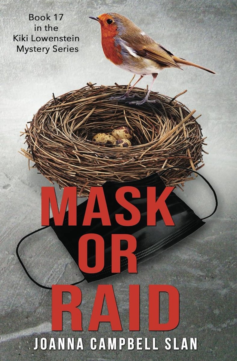 Mask or Raid: Cozy Mystery met Kiki Lowenstein