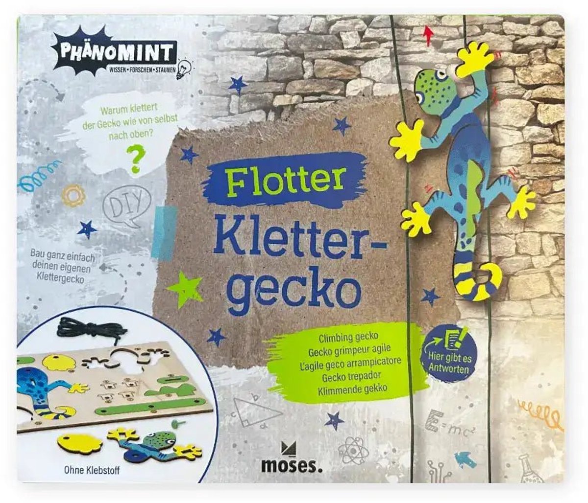 Klim Gekko Klim - Educatief spel
