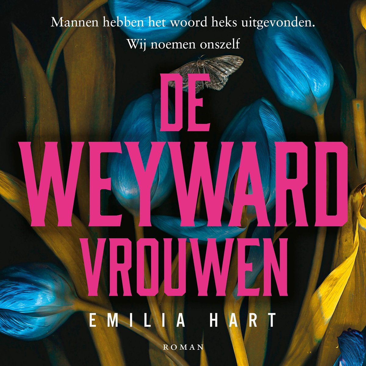 Omslag van De Weyward-vrouwen