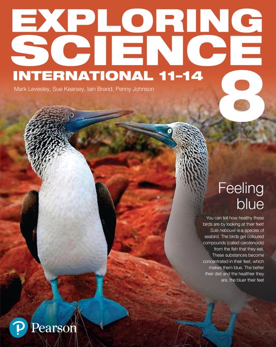 Exploring Science International Year 8 Student Book - cover