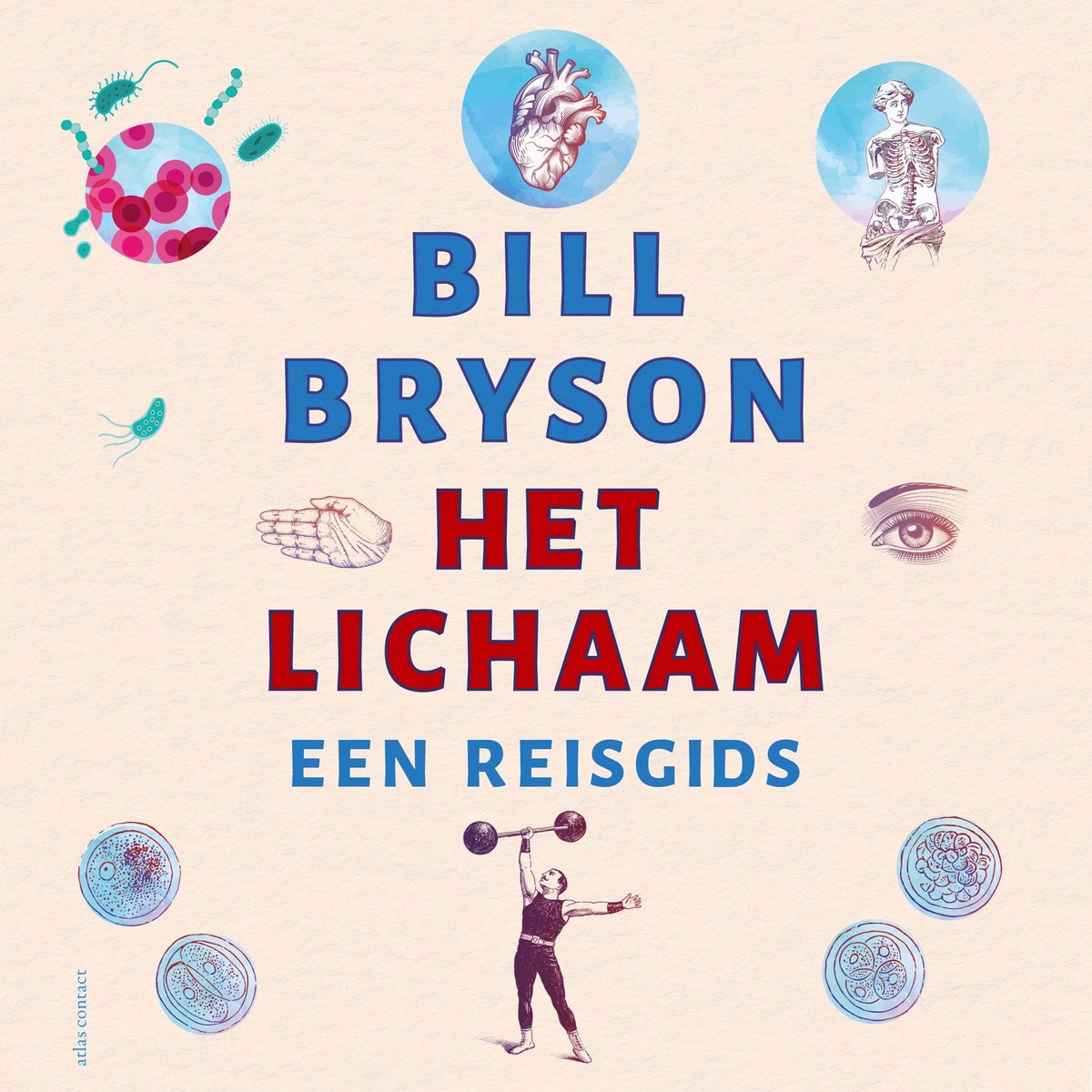 Omslag van Het lichaam