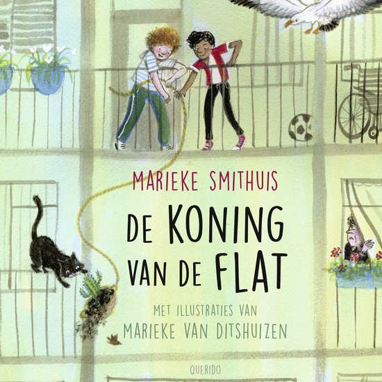 De koning van de flat - cover
