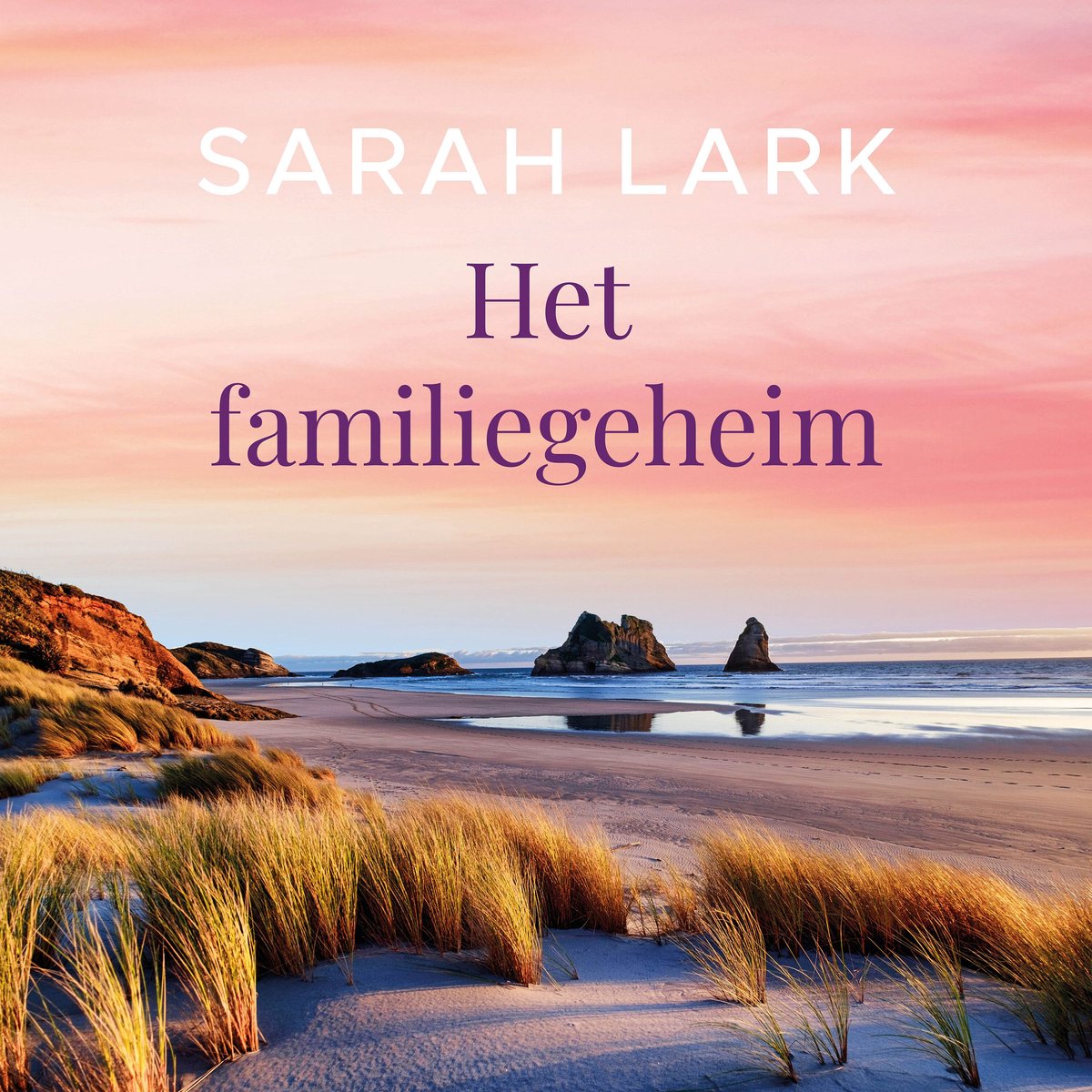 Omslag van Het familiegeheim