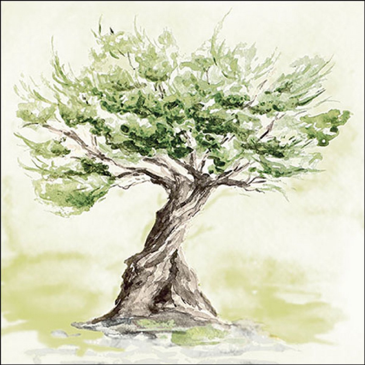 Ambiente Lunch servetten - Olive tree